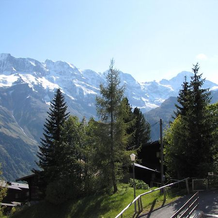 Chalet Schoenbuehl Mürren Extérieur photo
