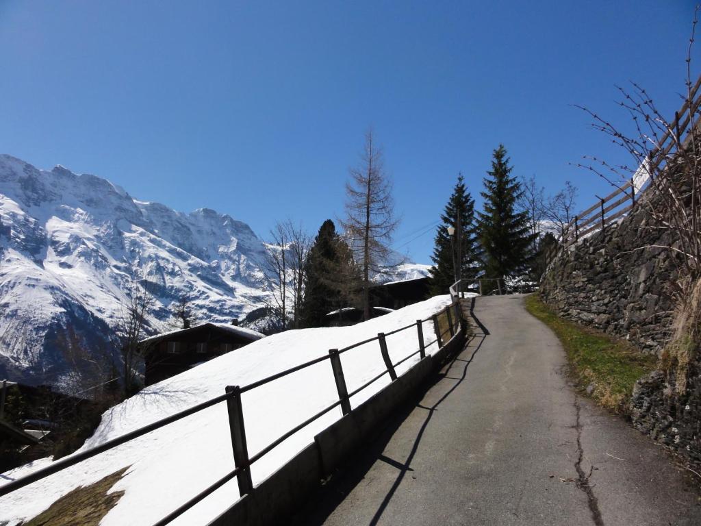 Chalet Schoenbuehl Mürren Extérieur photo