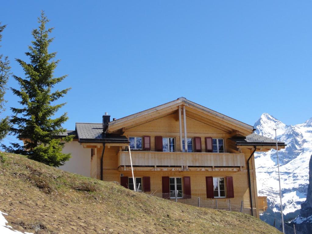 Chalet Schoenbuehl Mürren Extérieur photo