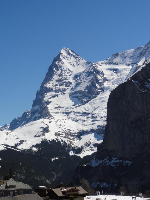 Chalet Schoenbuehl Mürren Extérieur photo
