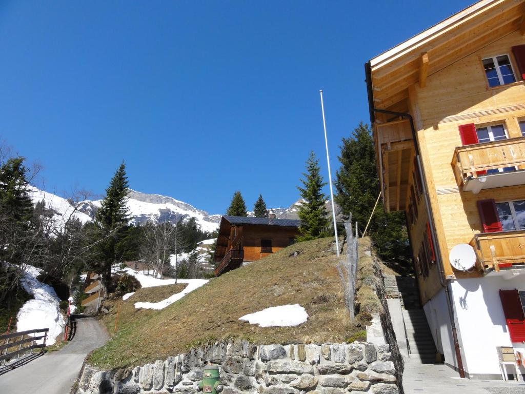 Chalet Schoenbuehl Mürren Extérieur photo