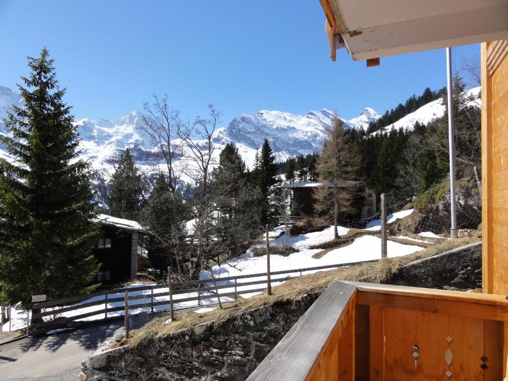 Chalet Schoenbuehl Mürren Extérieur photo