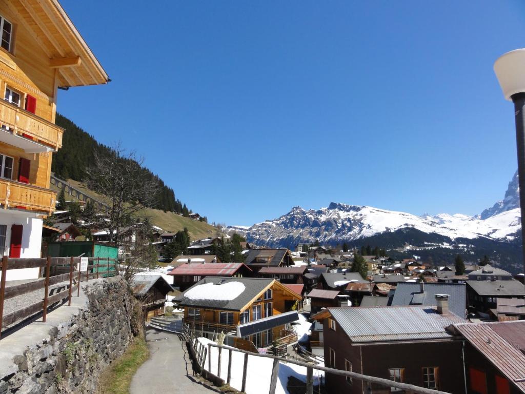 Chalet Schoenbuehl Mürren Extérieur photo