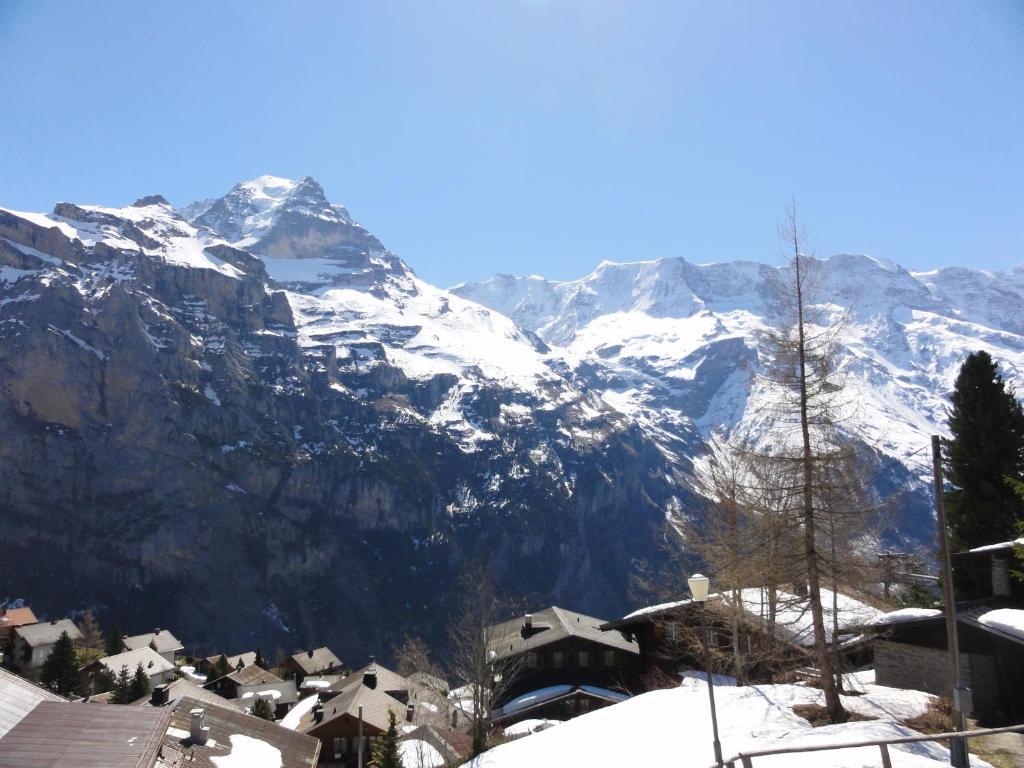 Chalet Schoenbuehl Mürren Extérieur photo